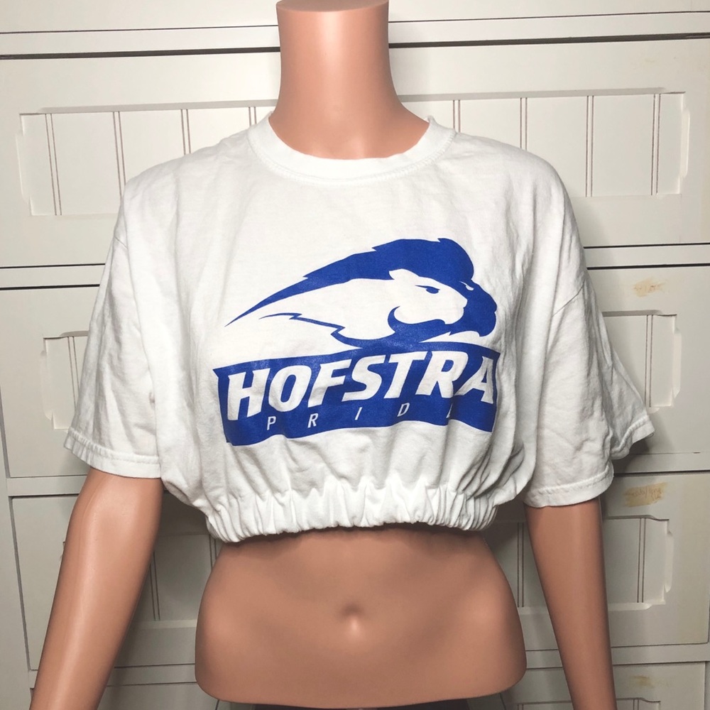 Hofstra crop top